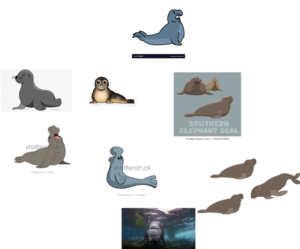 Pictures of Elephant Seals.